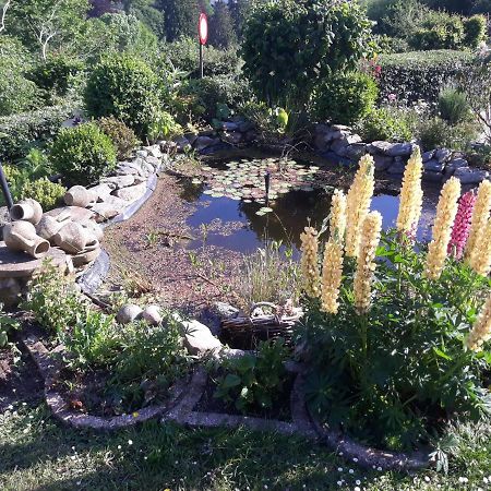 Studio Au Jardin Fleuri Verviers Eksteriør billede
