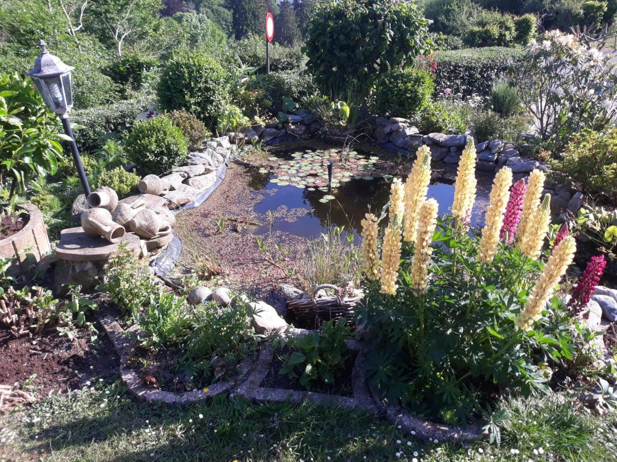 Studio Au Jardin Fleuri Verviers Eksteriør billede