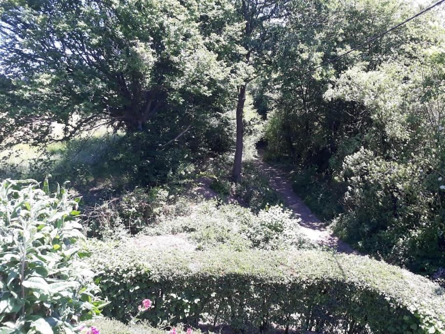 Studio Au Jardin Fleuri Verviers Eksteriør billede